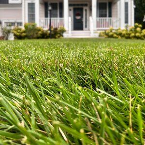 Meet your Posher, Summer